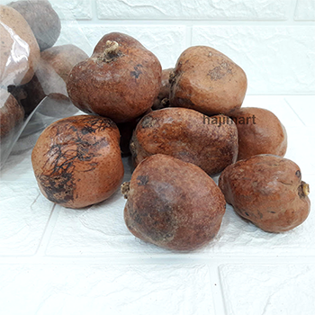buah zuriat